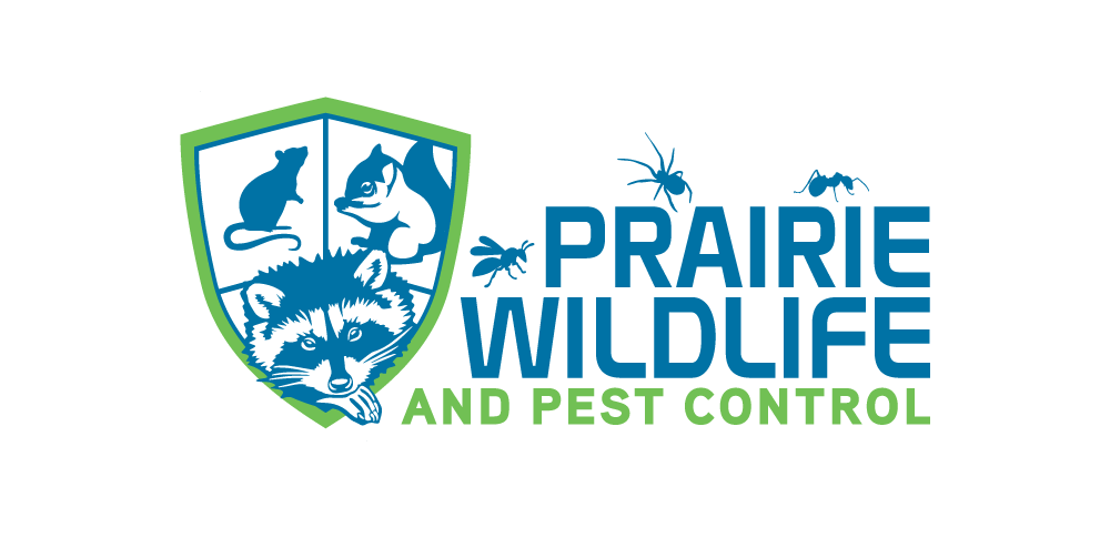 Prairie Wildlife and Pest Control