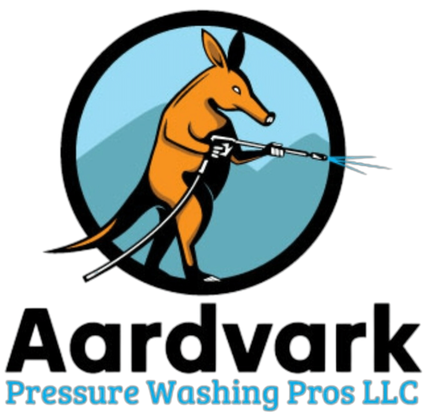 Aardvark Pressure Washing Pros LLC